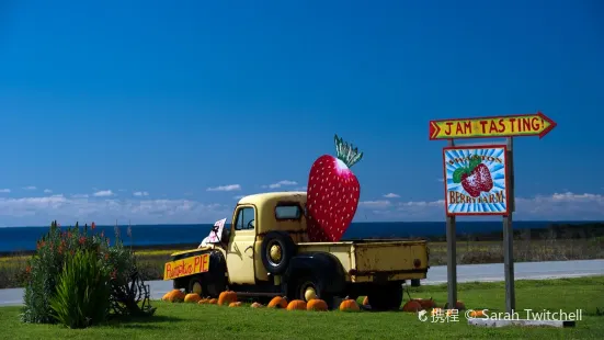 Swanton Berry Farm