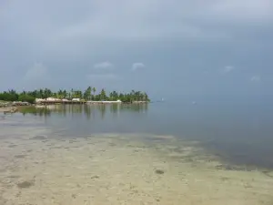 Curry Hammock State Park