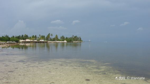 Curry Hammock State Park