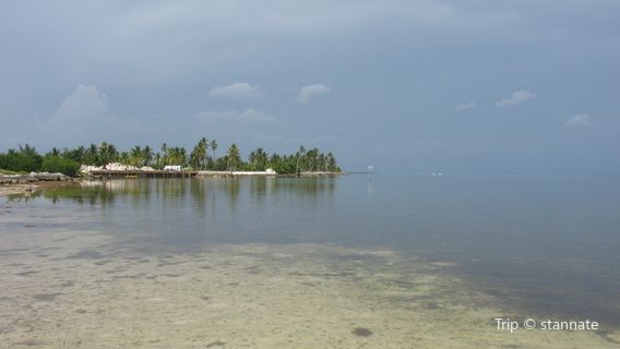 Curry Hammock State Park