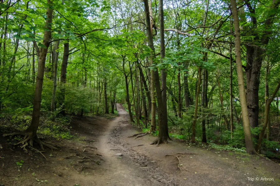 Rose Valley Regional Park