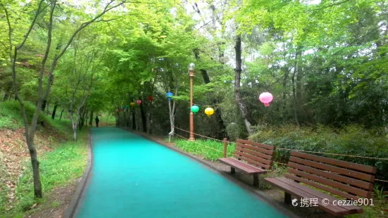 5.18紀念公園