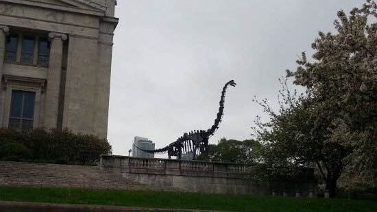 格蘭特公園是芝加哥挺有名的的公園，孩子一定會很喜歡這裏，在湖