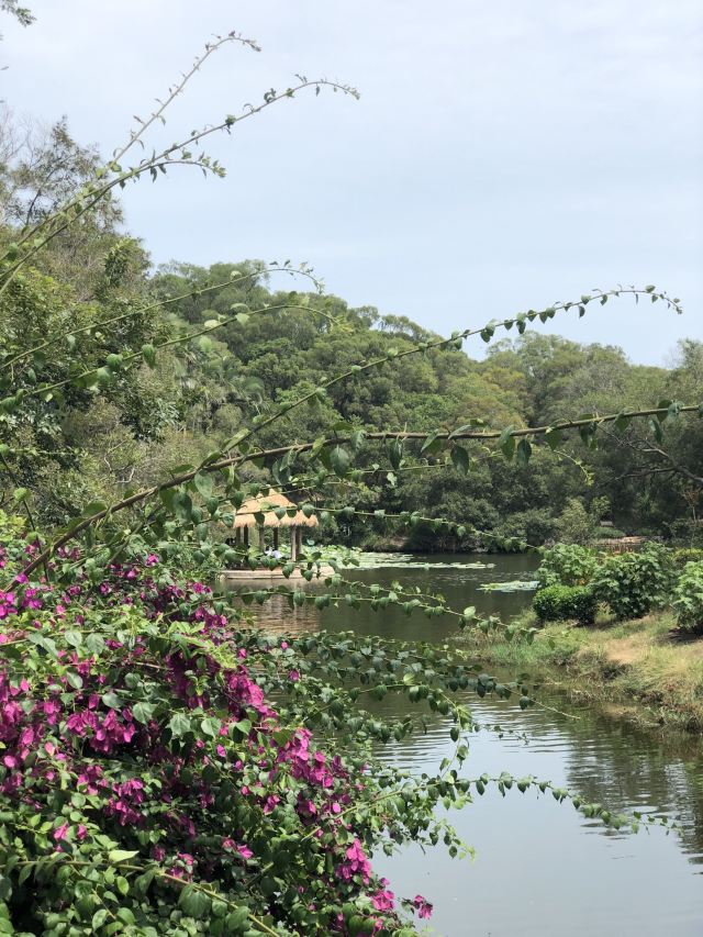 정인곡