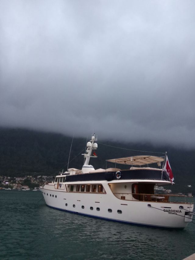 Kotor