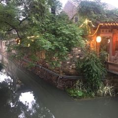 Song helou User Photo