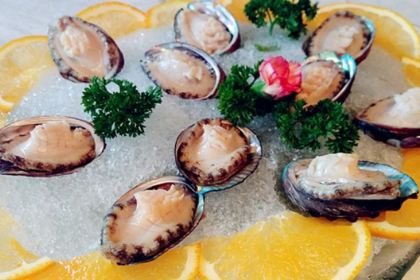 NING MENG HUA JING PIN JIU DIAN SAN SHENG DAN ZHU TI CAN TING