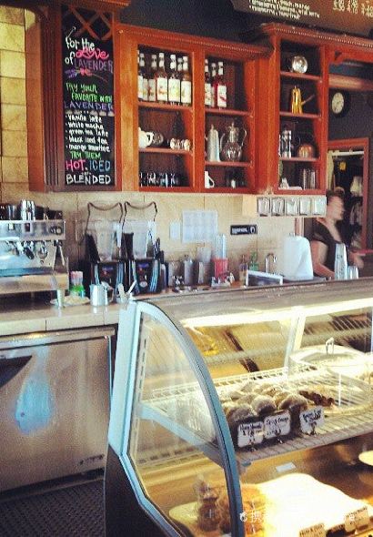 Adagio Bean and Leaf