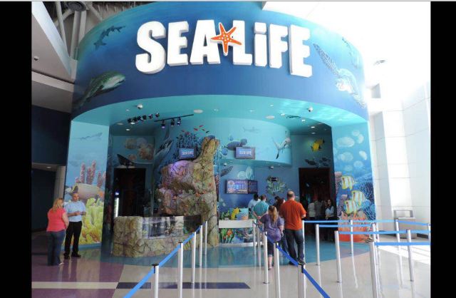 SEA LIFE 올랜도 수족관