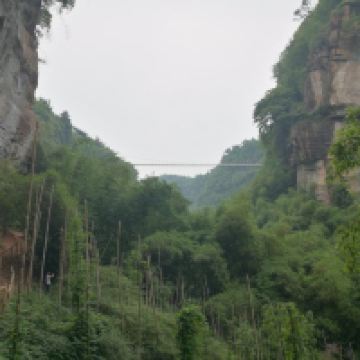 評論圖片 2