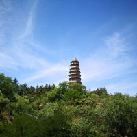 評論圖片 5