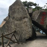 評論圖片 4