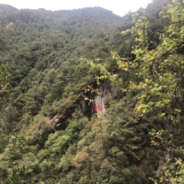 評論圖片 9