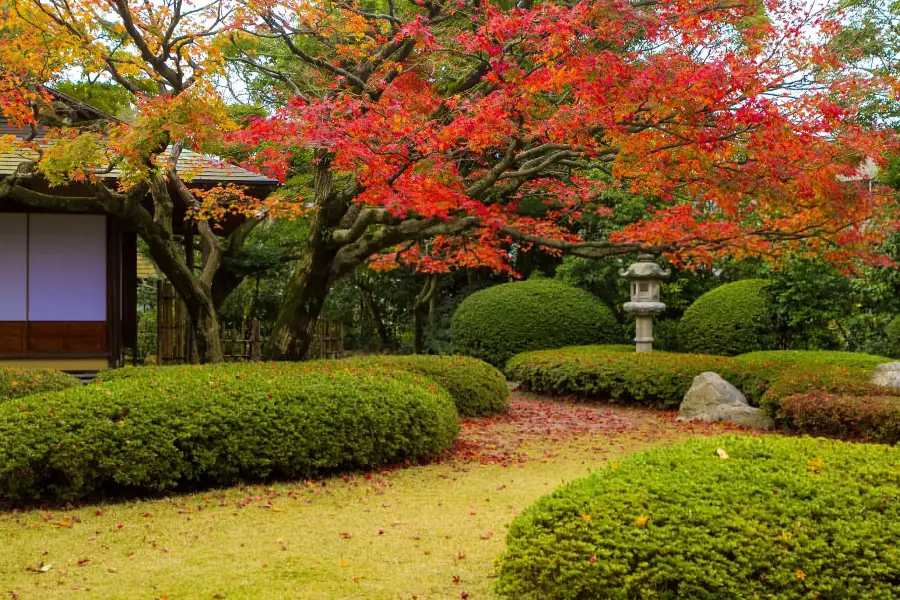 松風園