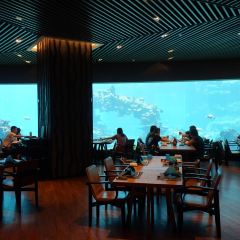 Aqua - Aquarium Restaurant User Photo