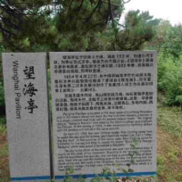 評論圖片 7