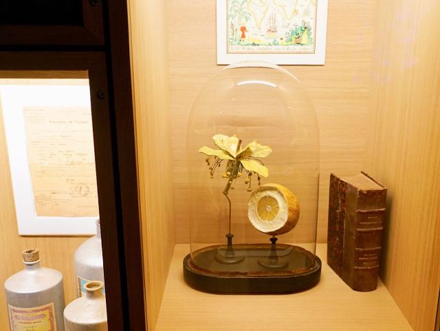 Musee du Parfum - Fragonard