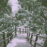 評論圖片 9