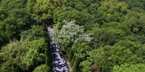 黃賢國家森林公園