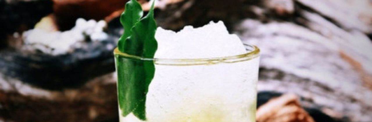 金棕櫚主題咖啡