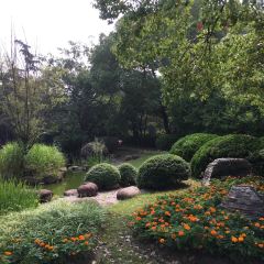 WENFENG GARDEN HOTEL User Photo