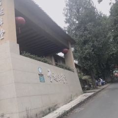 云起草堂(白云山森林公园店) User Photo