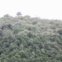 評論圖片 4