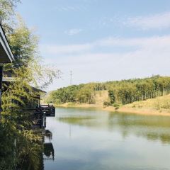 西塞山前白鹭湾餐厅 User Photo
