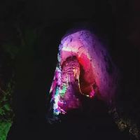 評論圖片 6