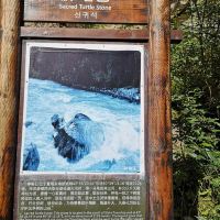 評論圖片 1
