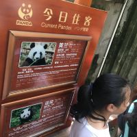 評論圖片 3