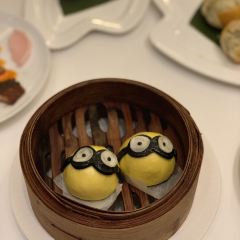 Yan Ting User Photo