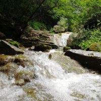 評論圖片 4