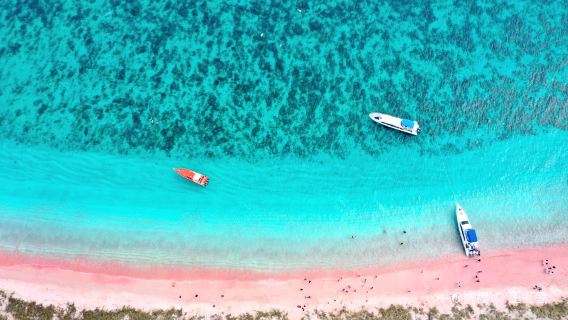 Komodo, Indonesia: tour in motoscafo di un giorno da Labuan Bajo