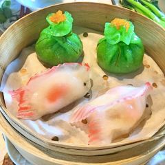 FULU ảnh của người dùng