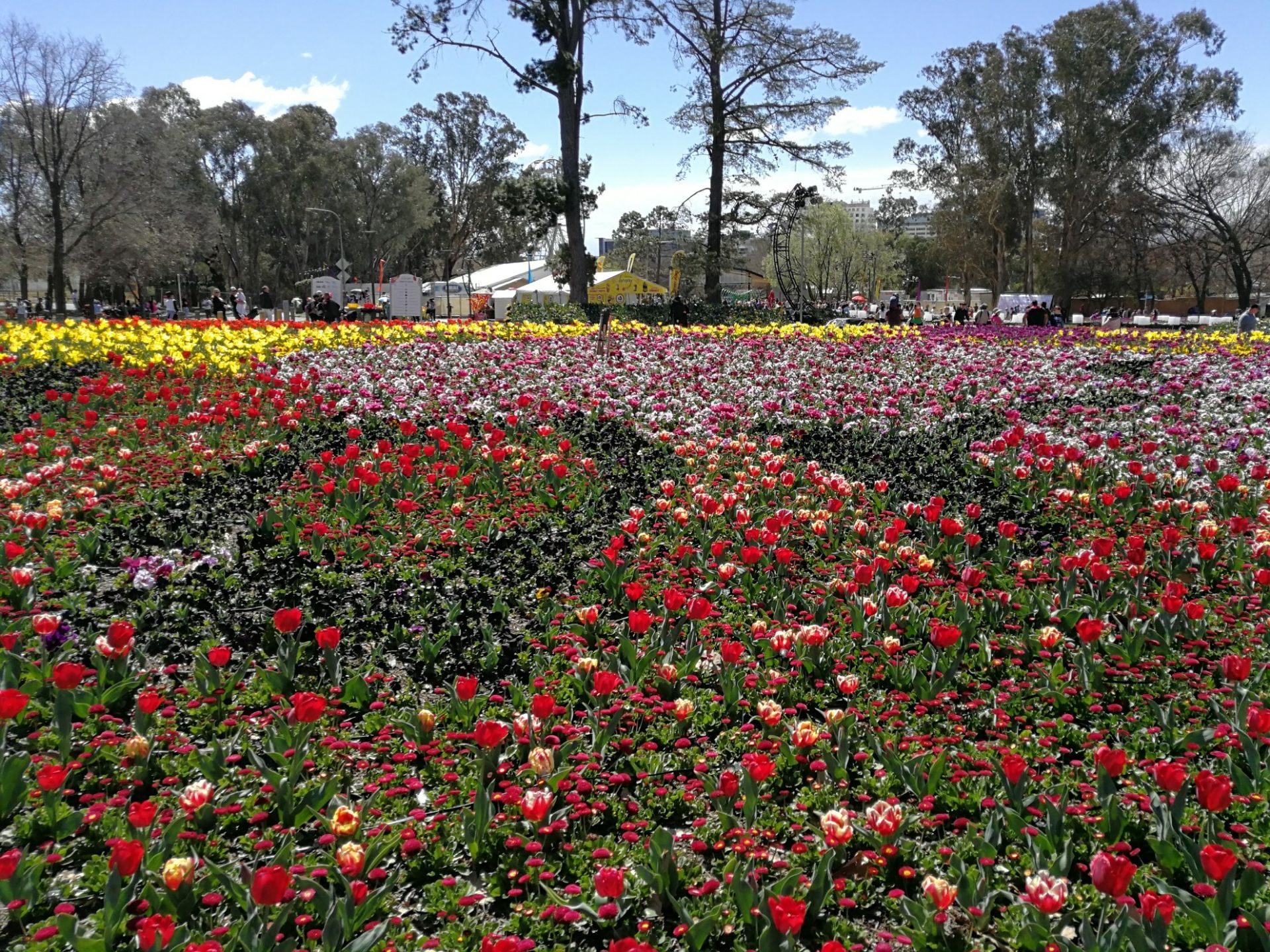 キャンベラ オーストラリア国立植物園 評判 案内 トリップドットコム