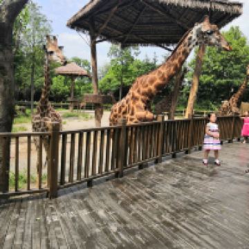 評論圖片 5
