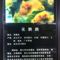 評論圖片 4