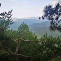 評論圖片 6