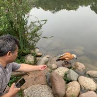 評論圖片 6