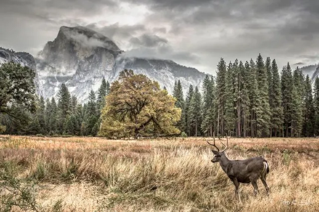 Top Things to Do When Visiting Yosemite National Park