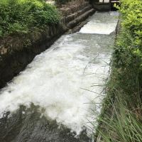 評論圖片 6