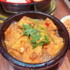 LOTUS HOUSE User Photo