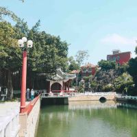 評論圖片 2