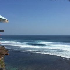 Single Fin User Photo