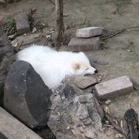 評論圖片 7