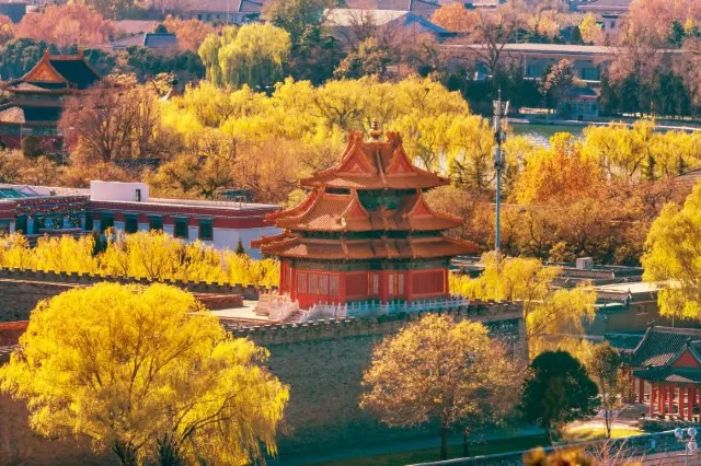 Travel Tips to Tour the Forbidden City