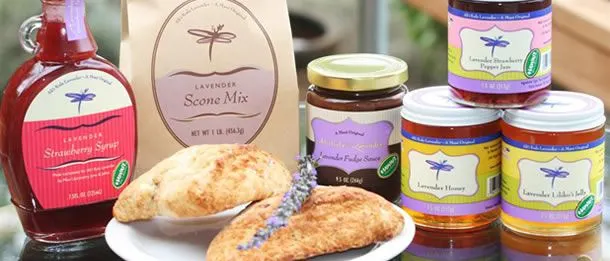 繽紛夏威夷 | 如何玩轉彩虹州,這幾種顏色告訴你!