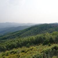 評論圖片 6