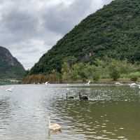 評論圖片 7